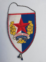 /album/bratislava-ch/bratislava-tj-cervena-hviezda-19-jpg/